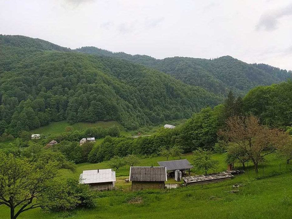 здаються будиночки в Карпатах з краєвидом