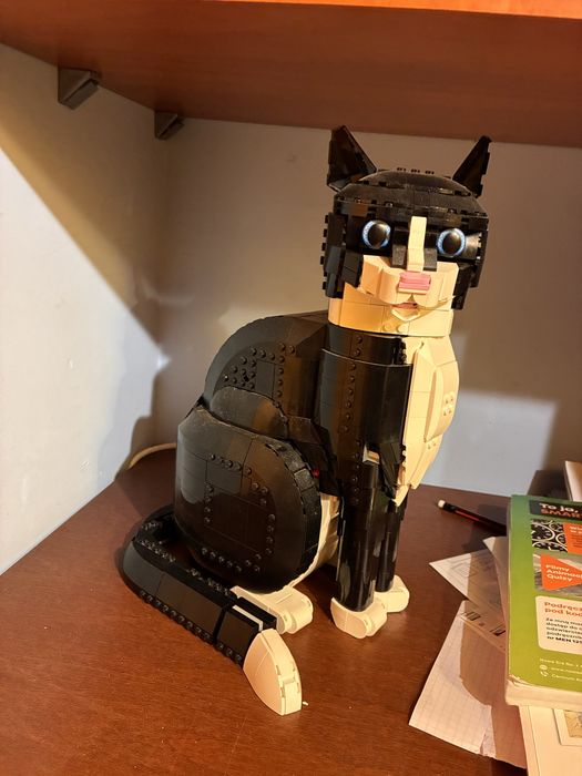 Lego ideas kot 31349