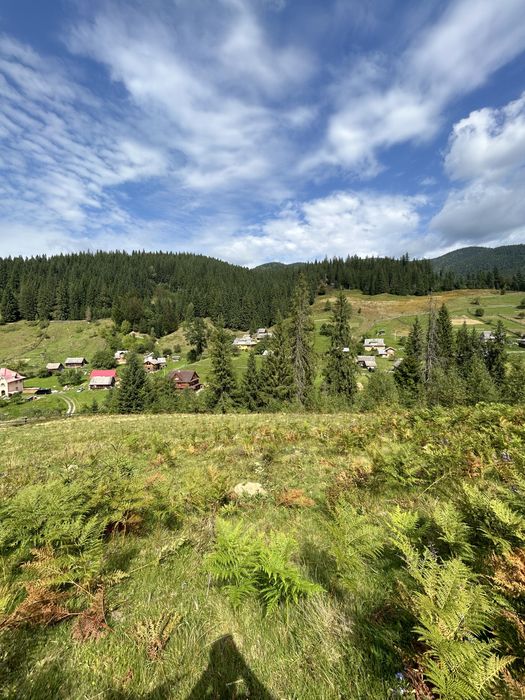 Продається гектар землі