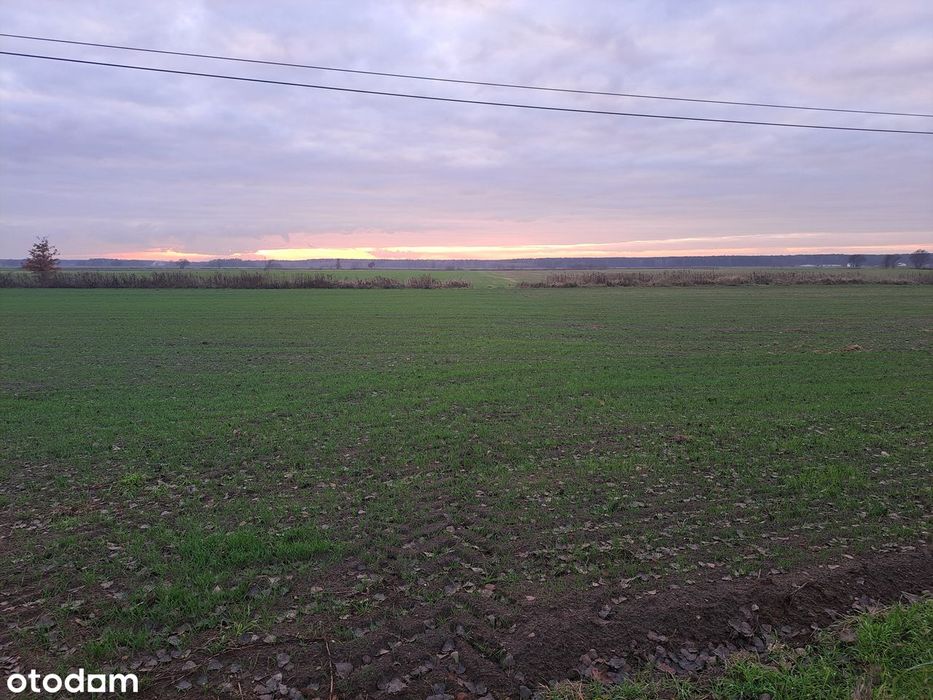 dzierżawa gruntów pod PV fotowoltaika OZE
