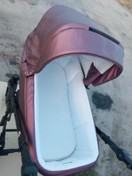 Коляска  adamex amelia эко кожа