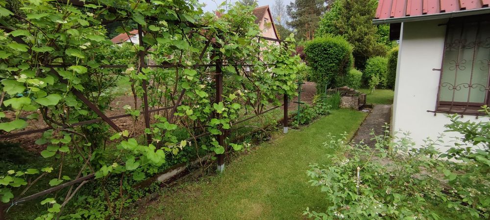 Sprzedam działkę rekreacyjną