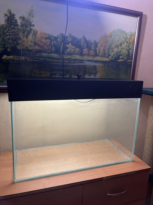 Аквариум с подсветкой