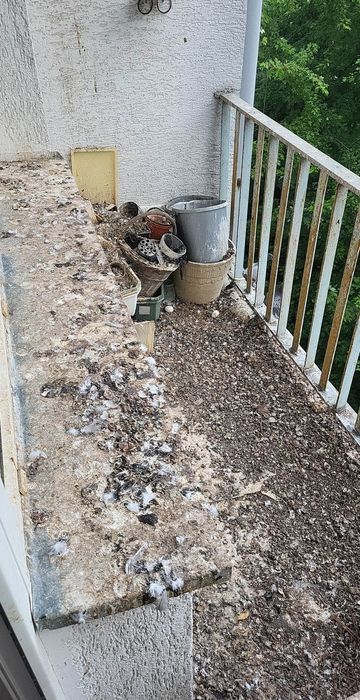 Sprzątanie po gołebiach strychów sprzątania piwnic i balkonów