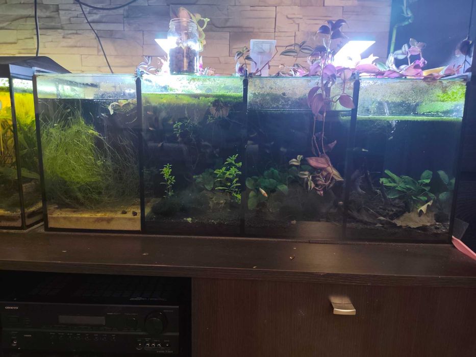 Akwarium dzielone  136l