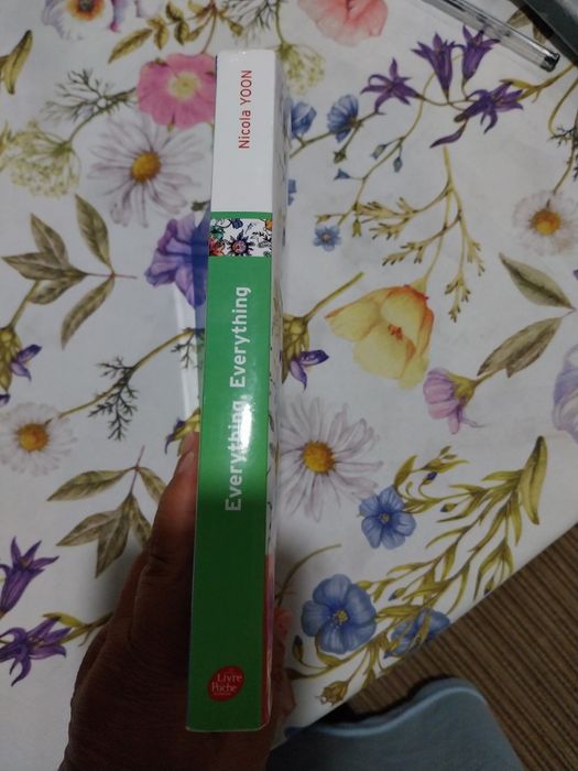 Every thing Every thing ( francês). Portes incluídos