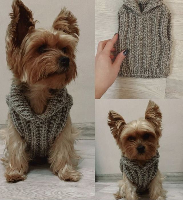 Шукаю для роботи в'язальницю (одяг для собак)