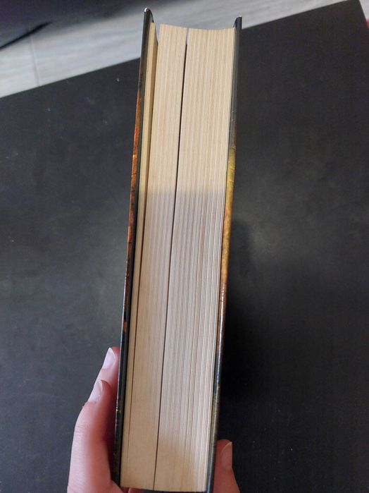 Livros da Saga "Sebastian Bergman", de Rosenfeldt e Hjorth - Policial e Thriller
