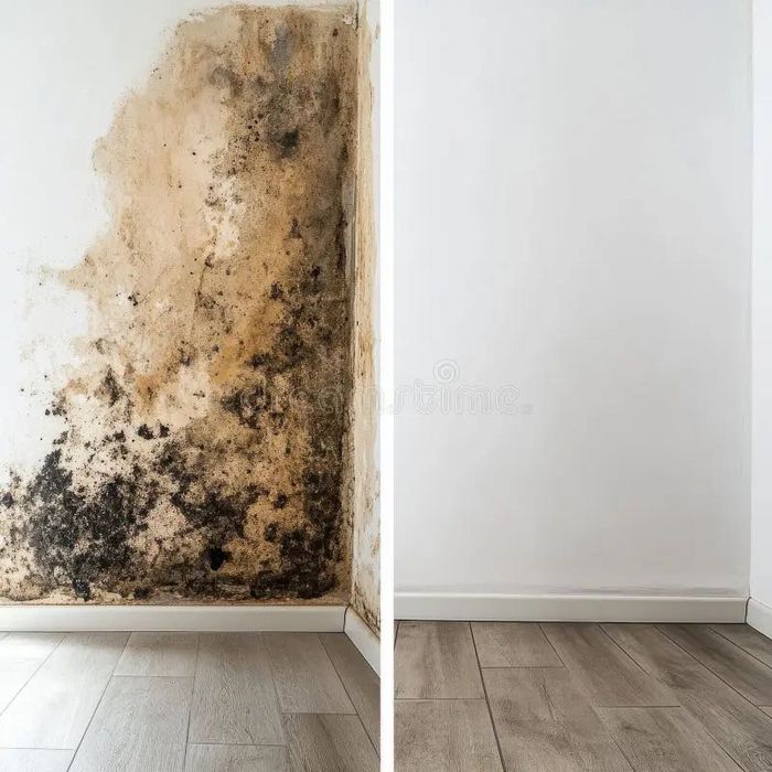 Tratamento de bolores