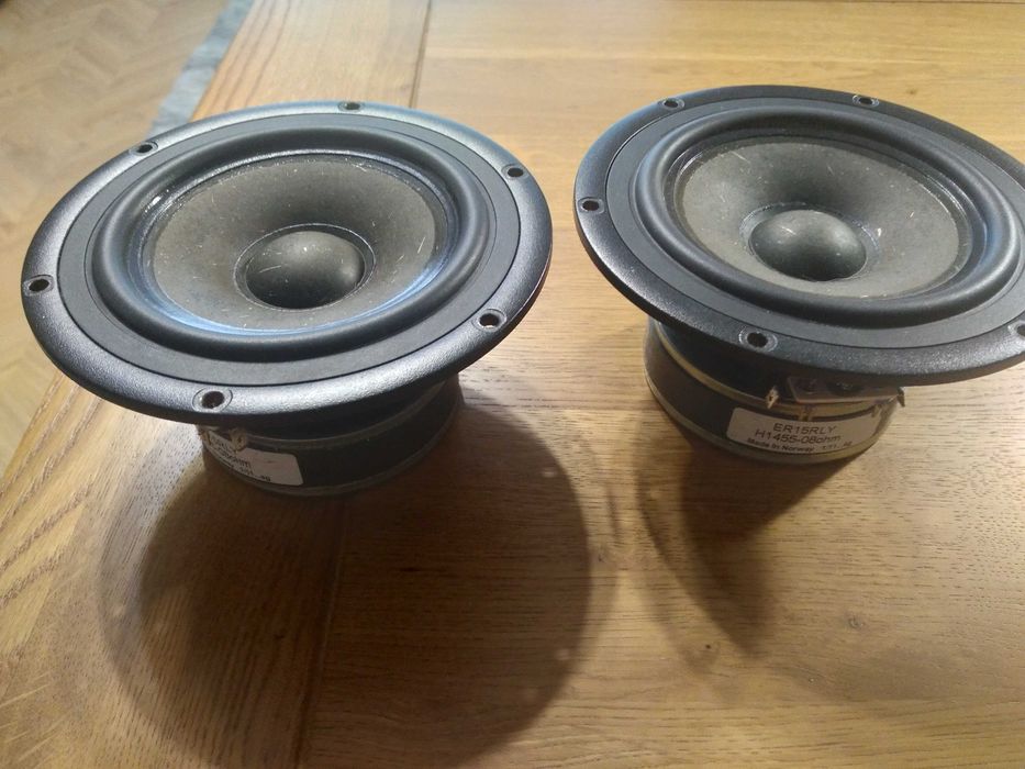 Glosniki Seas ER 15 RLY