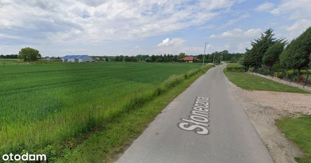 Na sprzedaż dwie atrakcyjne działki obok siebie, 1 z sadem owocowym. - Więcej