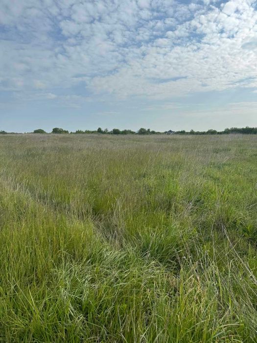 Земельна ділянка, с. Пили