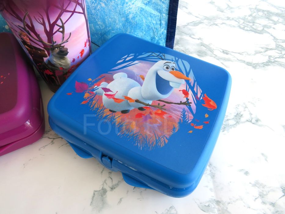 Tupperware Conjunto Frozen Novo