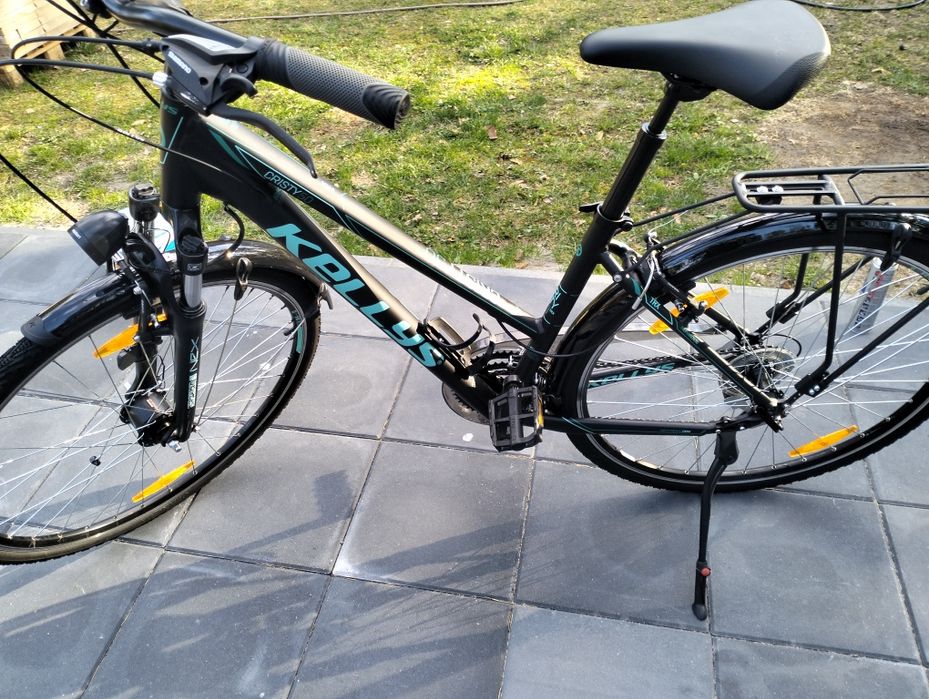 Kellys Cristy 50