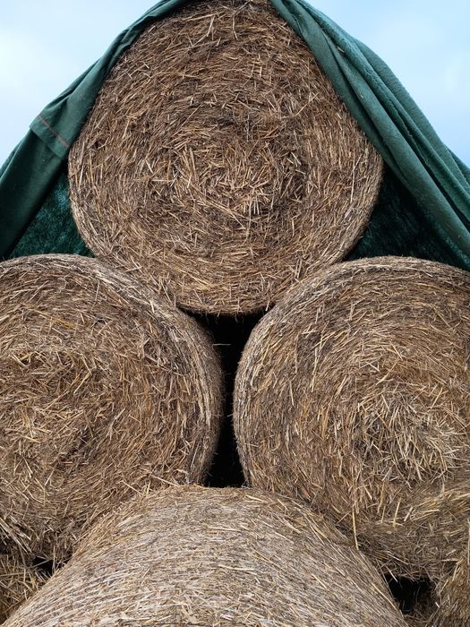 Sprzedam ładna słome