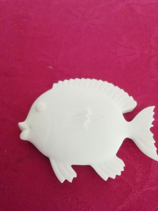 Íman peixe, novo