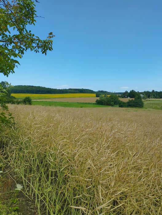 Продам будинок с.Уїздці 40 сот