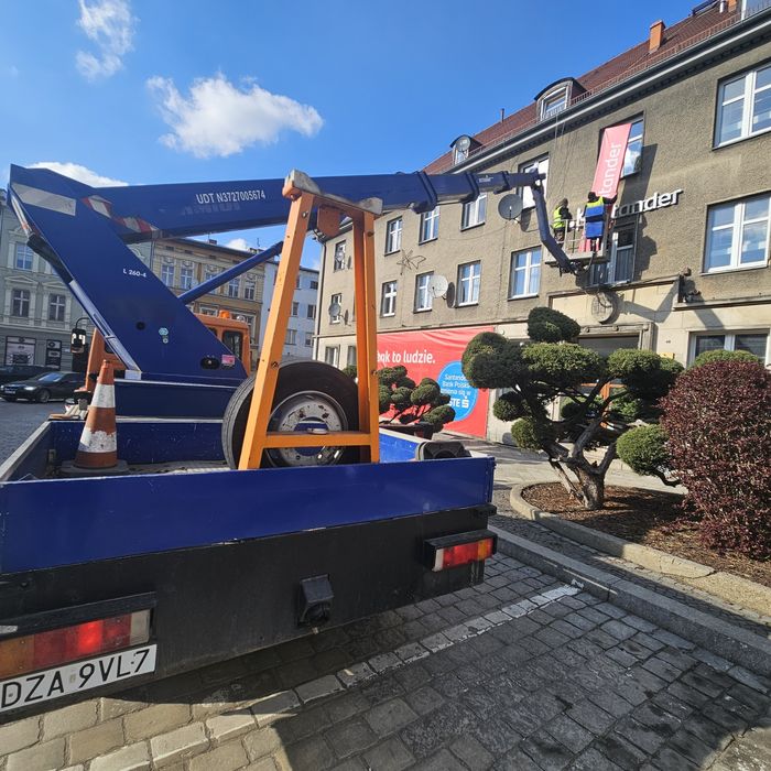Podnośnik czyszczenie rynien montaż kolców na ptaki