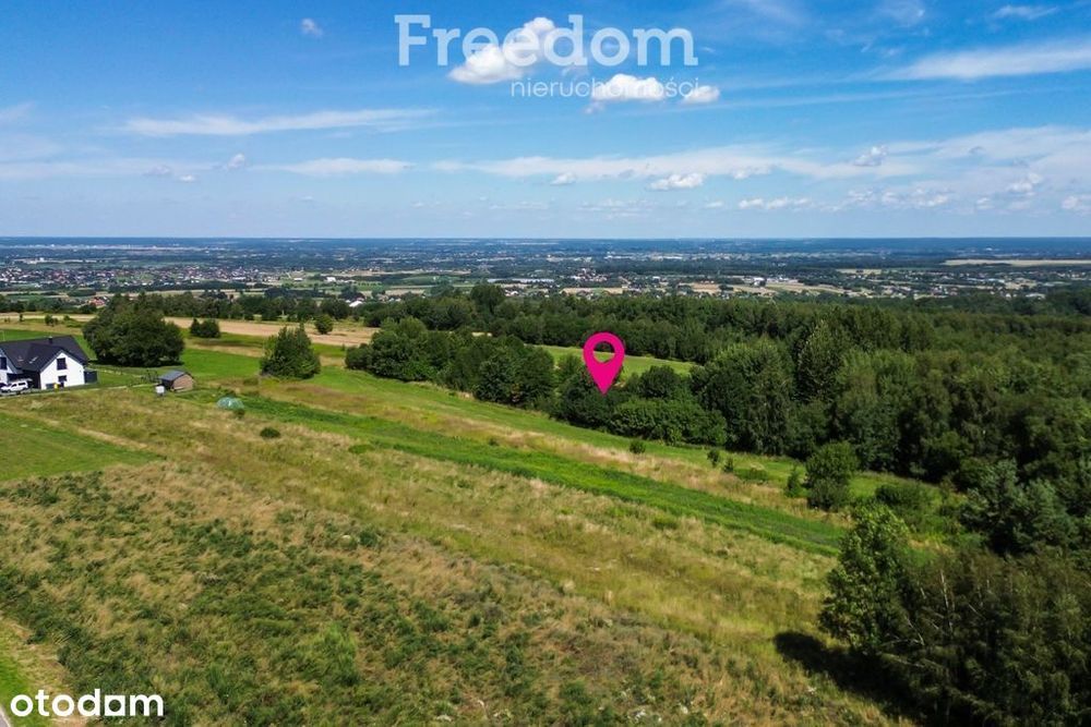 Działka 72 ar przy lesie – 2 Wz w toku