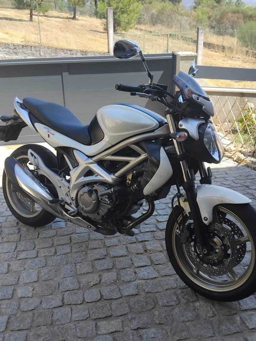 Mota Suzuki Gladius SFV