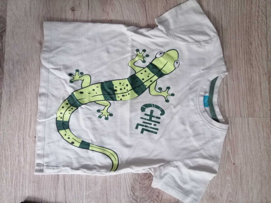 Littke Kids Zestaw T-Shirt dla chłopca 3szt 110 cm