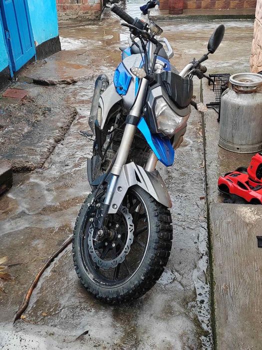 Продам сенке леопард 250