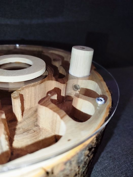 Деревянная муравьиная ферма. Дерев'яний формікарій (гніздо) для мурах.