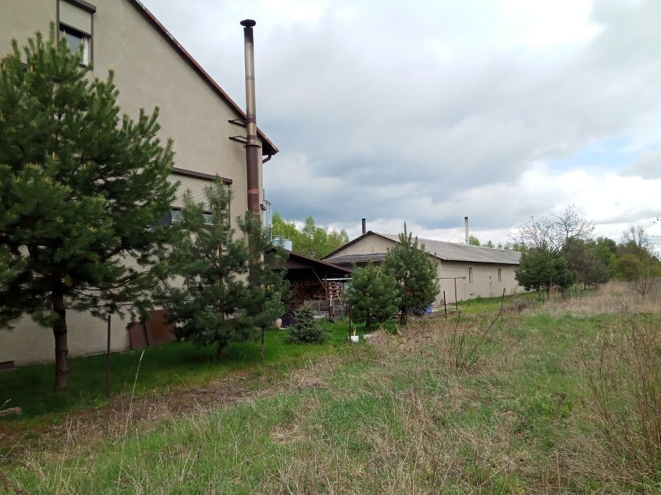 Dom i Hale położone w bardzo dobrej lokalizacji