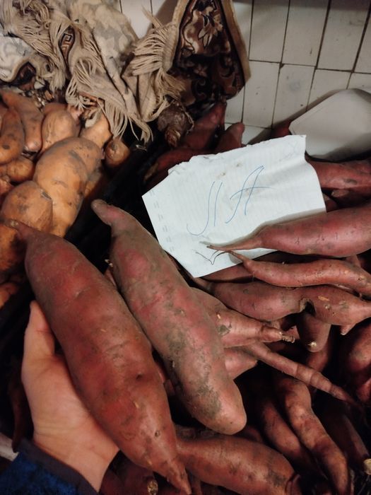 Батат різних сортів