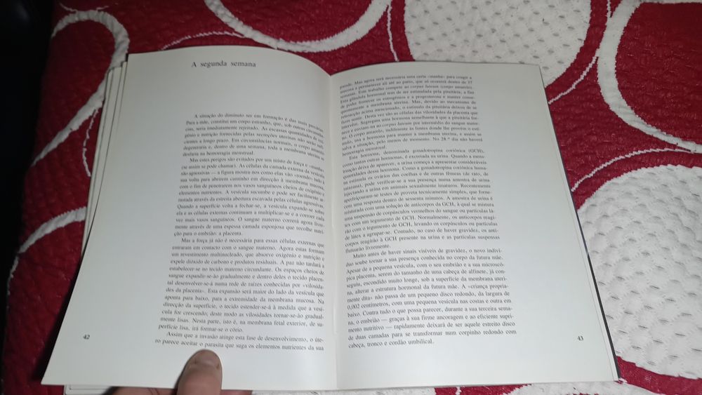 Como nasce uma criança