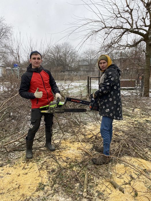 Удаление деревьев|Расчистка участка|Спил деревьев|Корчевание пней