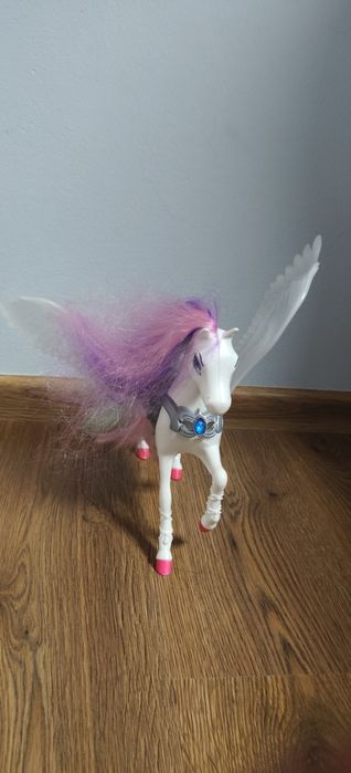 Konik święconce w ciemnosci skrzydła