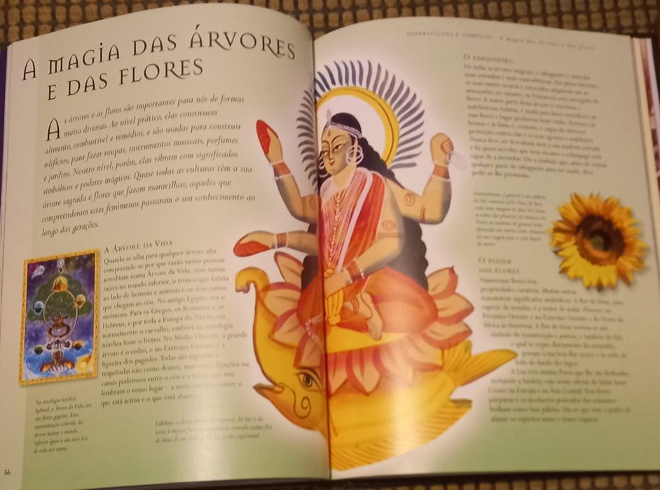 Livro"A Enciclopédia do Inexplicável"