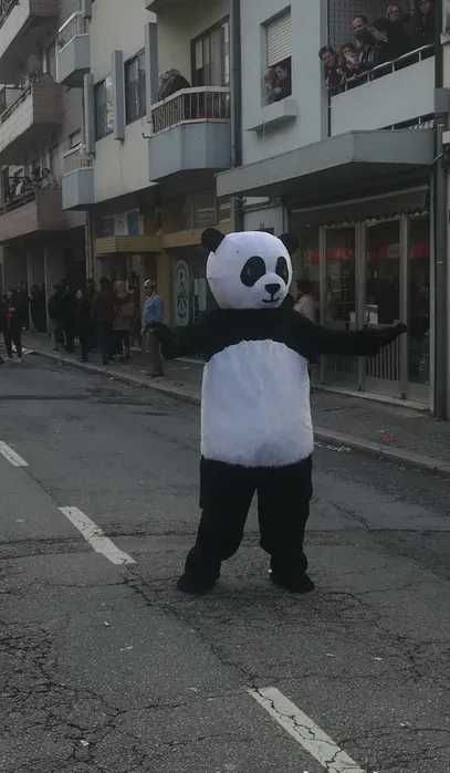 Mascotes - Câo / Mickey / Panda