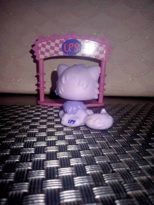 Kot perski LPS #1771 Hasbro