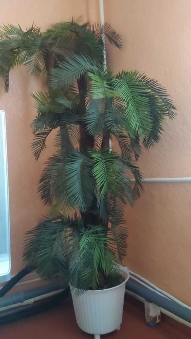 Штучна пальма висотою 180 см