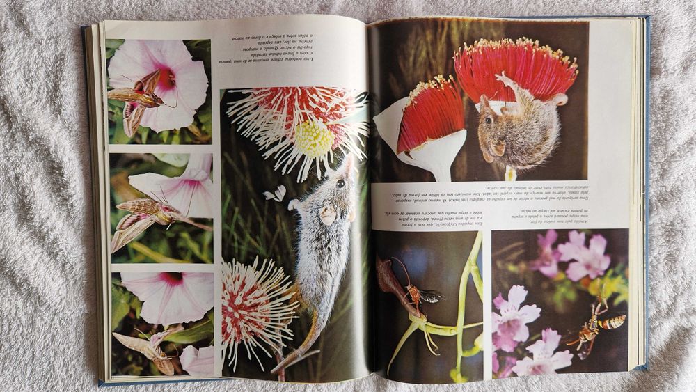 Livro "O Assombro Mundo da Natureza"