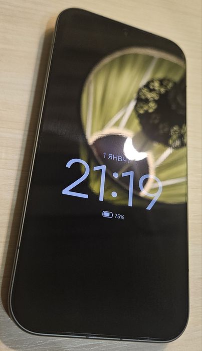 Xiaomi 17 Pro 16/512Gb black