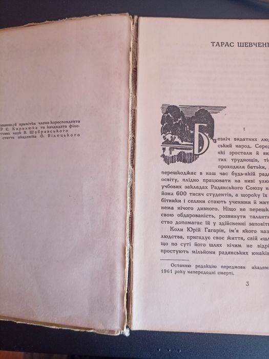 Кобзар малий продам