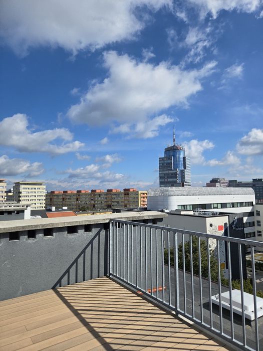 Mieszkanie Centrum wynajem