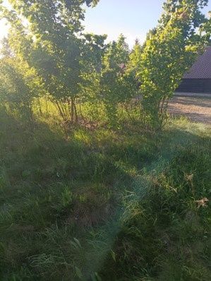 Działka budowlana 1200 m² - Widok 3