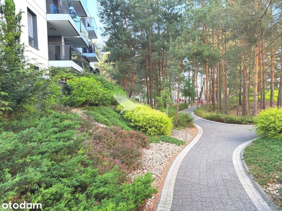 Jar | Sosnowe Zacisze | 2 pokoje | 52 m2