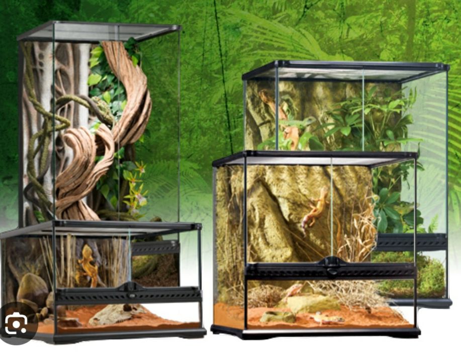 Terrarios p/ Repteis