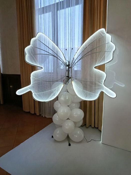 Оренда  прокат метелика