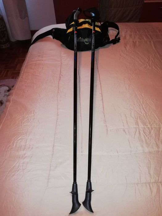 Walking sticks plus bag.446661684133908481