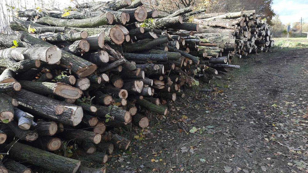drewno kominkowe, opałowe, kłody
