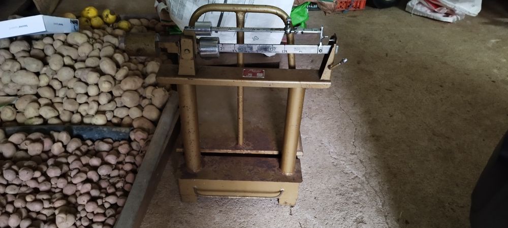Balança Romana/Mecânica 200kg