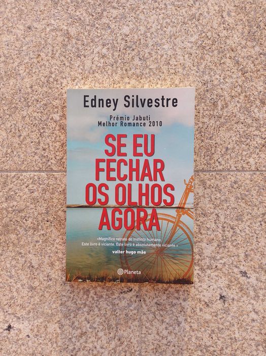 Se Eu Fechar Os Olhos Agora, Edney Silvestre