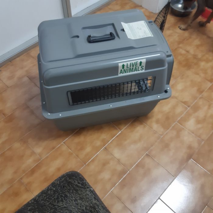 Petmate 00200 adequado para cães de 12 a 16 kg