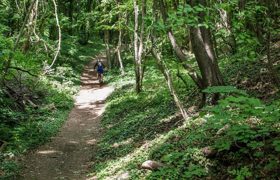 Сдам квартиру в Болгарии Золотые пески Варна